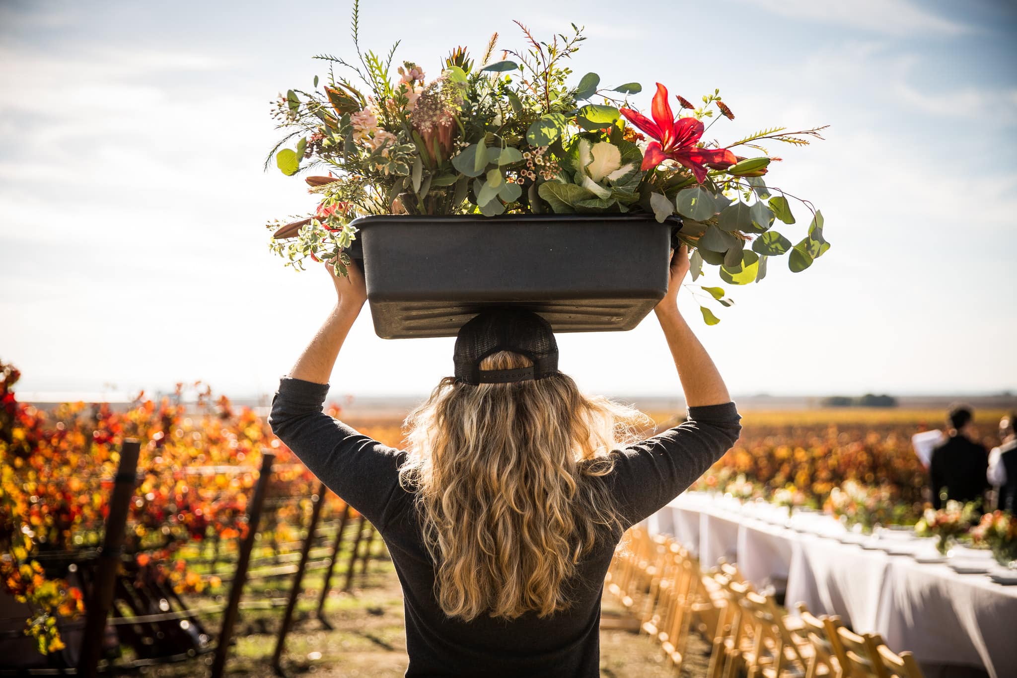 Home American Grown Flowers and Foliage