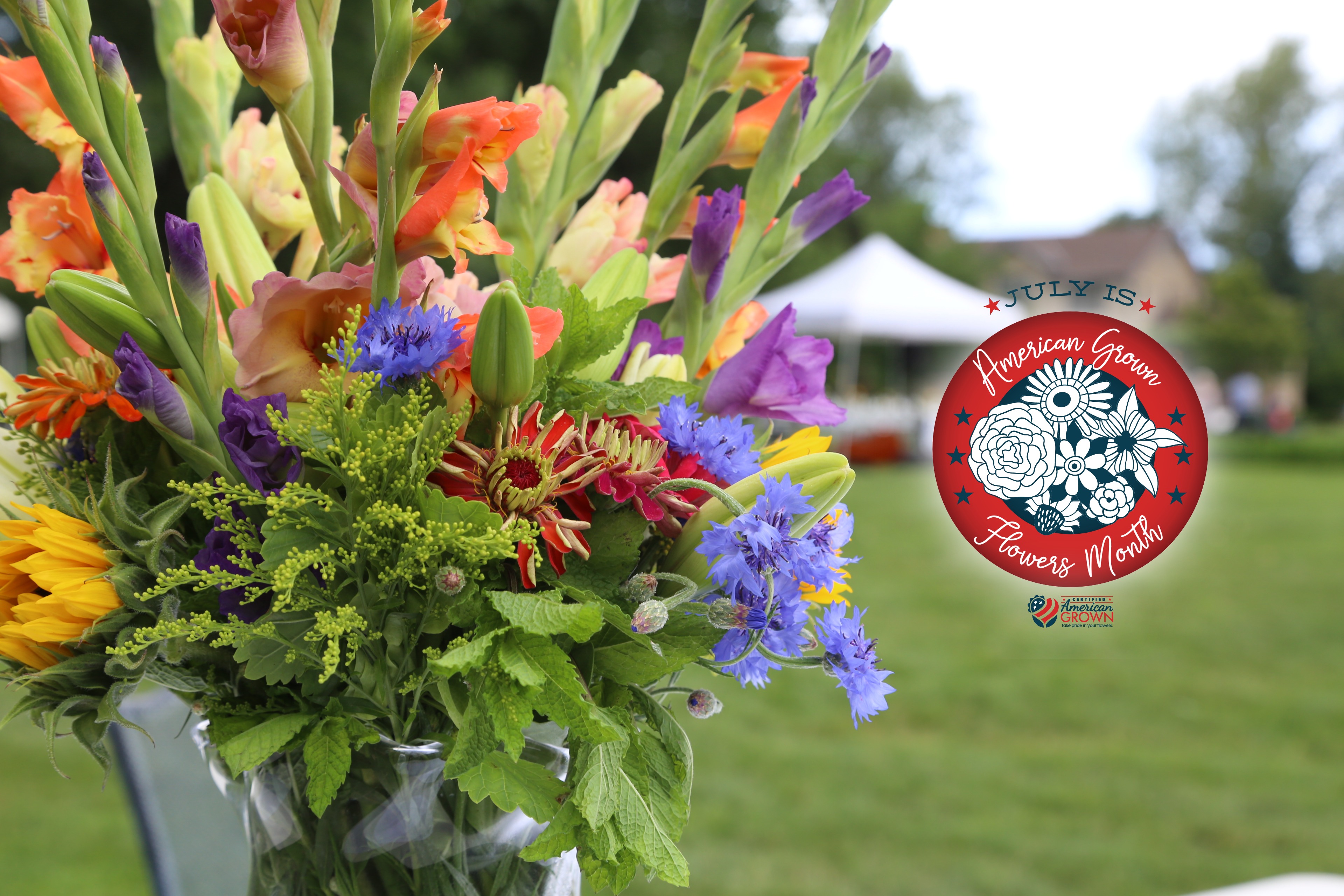 Home American Grown Flowers